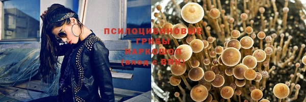 герыч Алексин